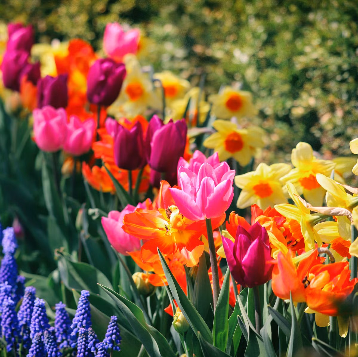 Seasonal Surprise Box