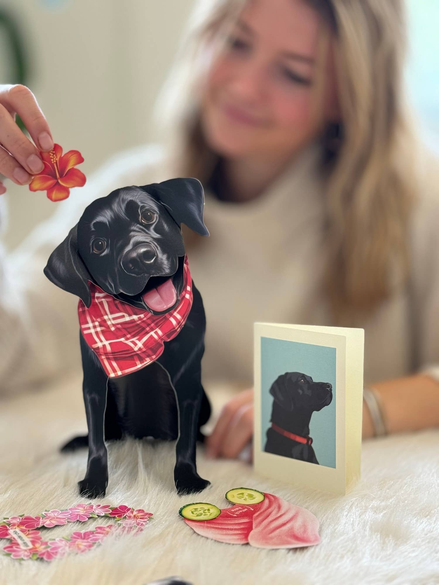 Fresh Cut Paper Pop Up Cards