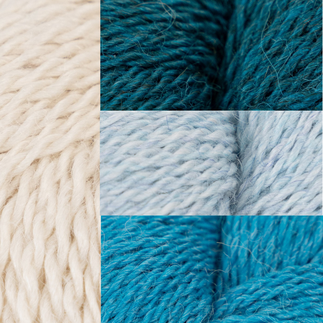 Finnegan's Book Club - 2025 -2026