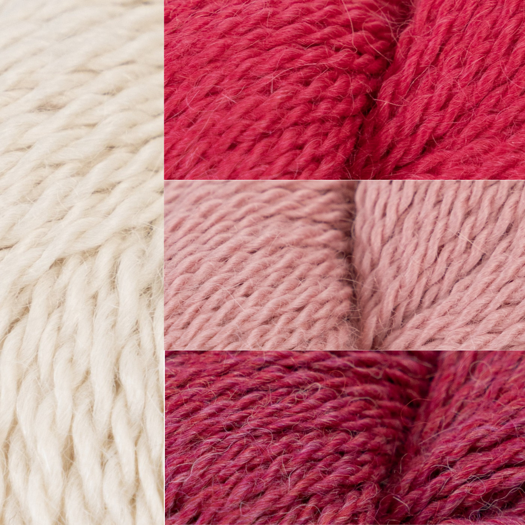 Finnegan's Book Club - 2025 -2026