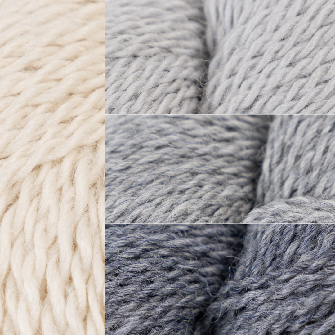 Finnegan's Book Club - 2025 -2026