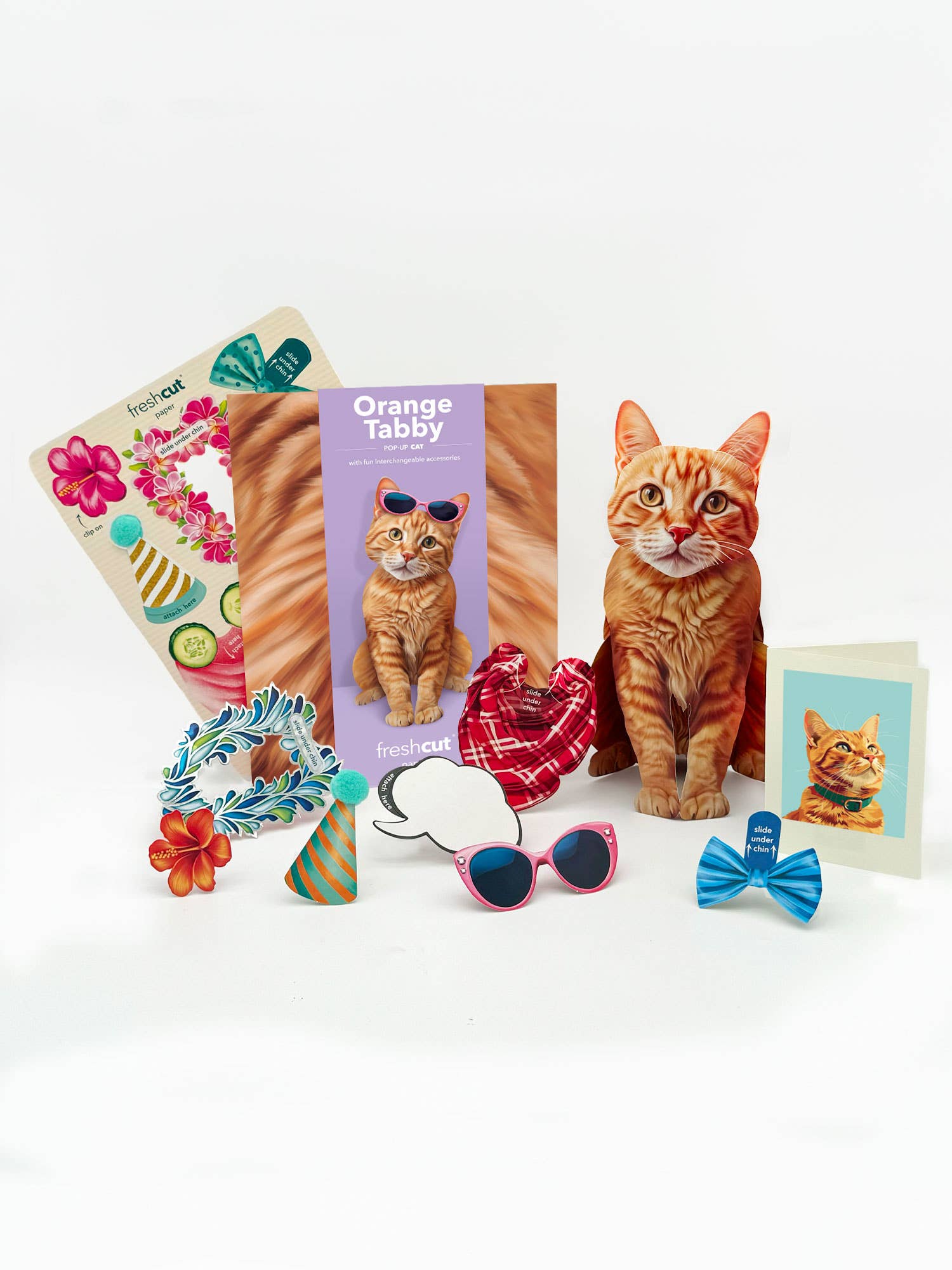 Fresh Cut Paper Pop Up Cards