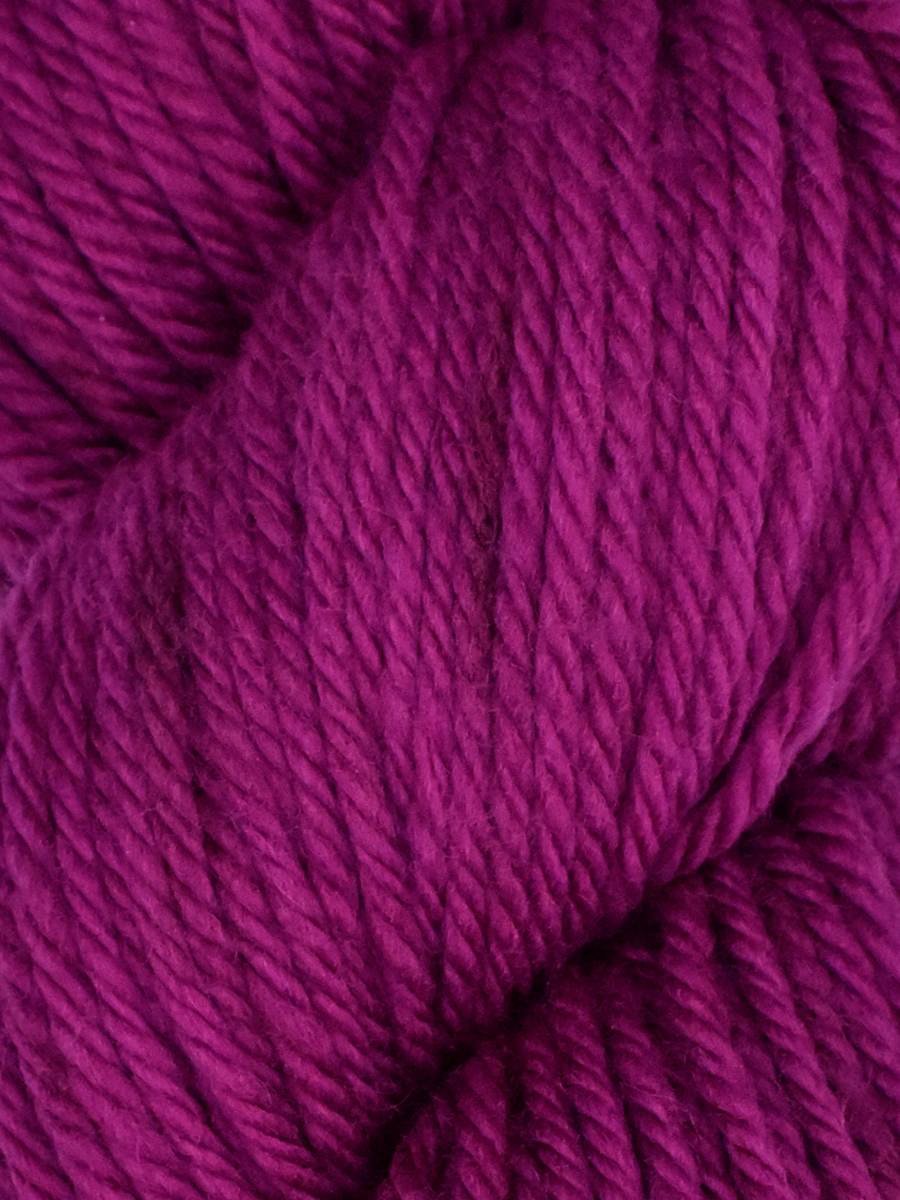 Queensland Faulkand Chunky