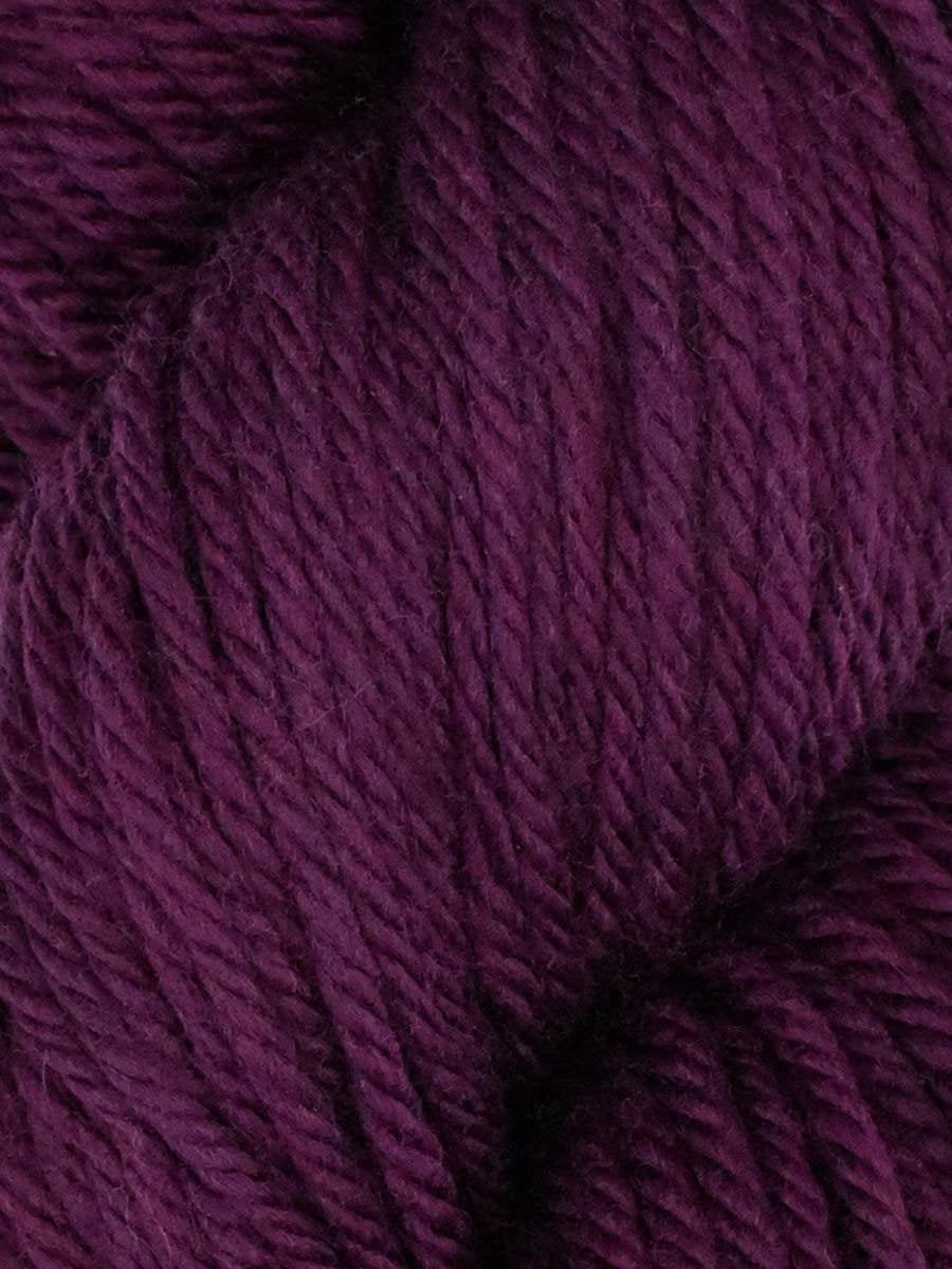 Queensland Faulkand Chunky