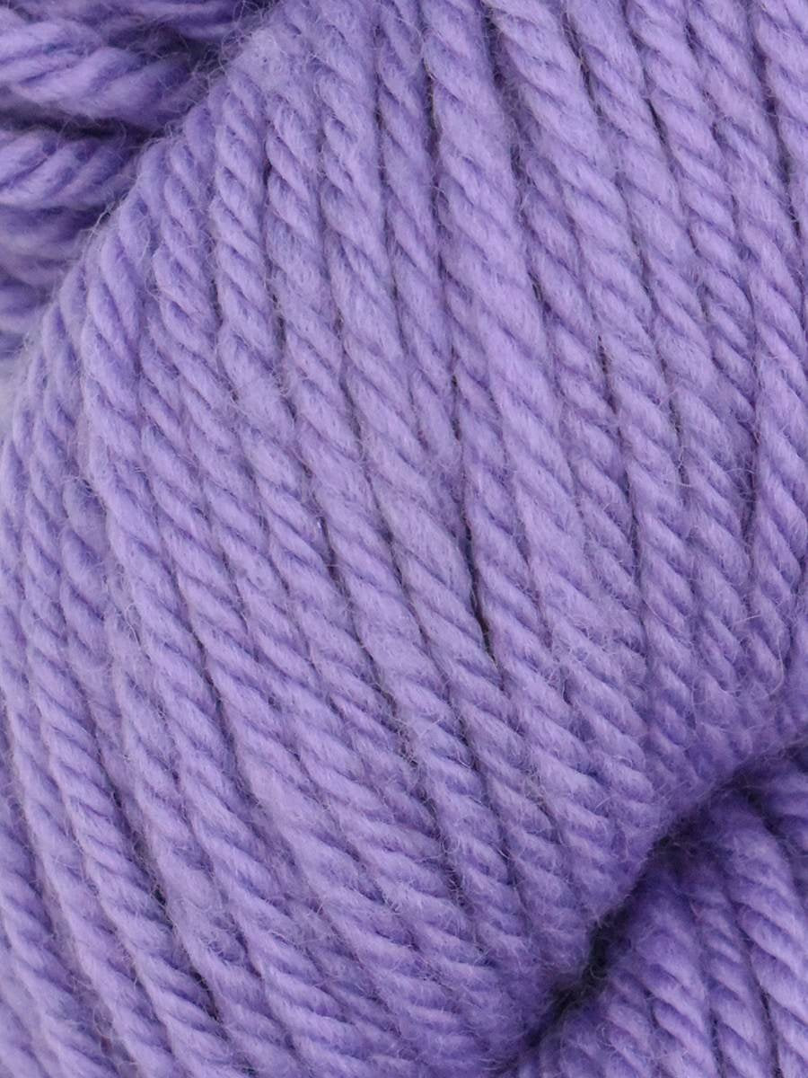 Queensland Faulkand Chunky