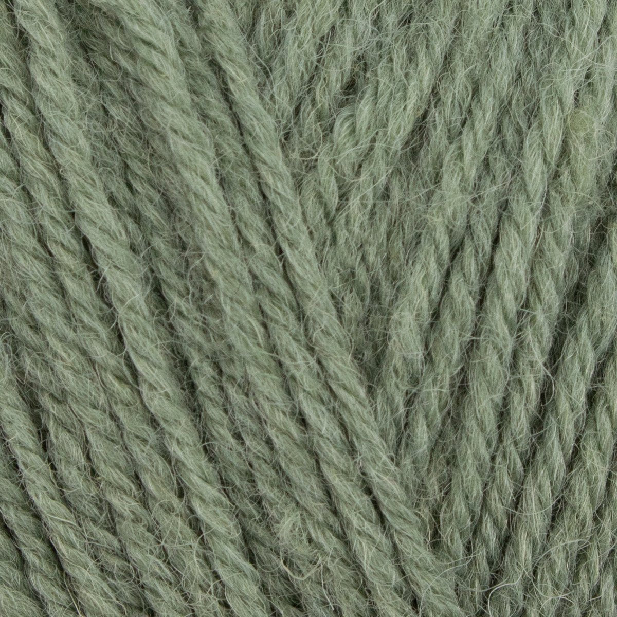 WYS Wool Revival