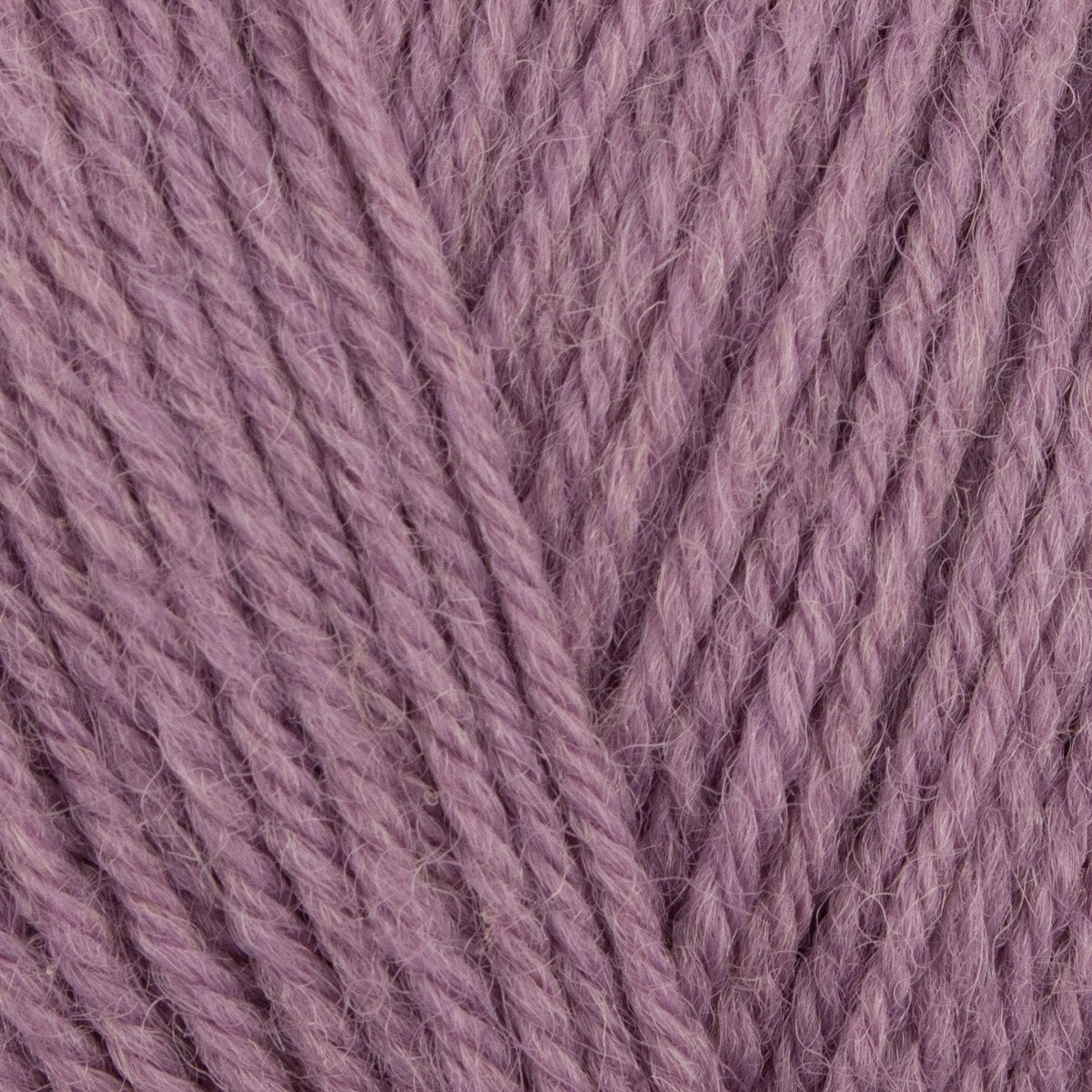 WYS Wool Revival
